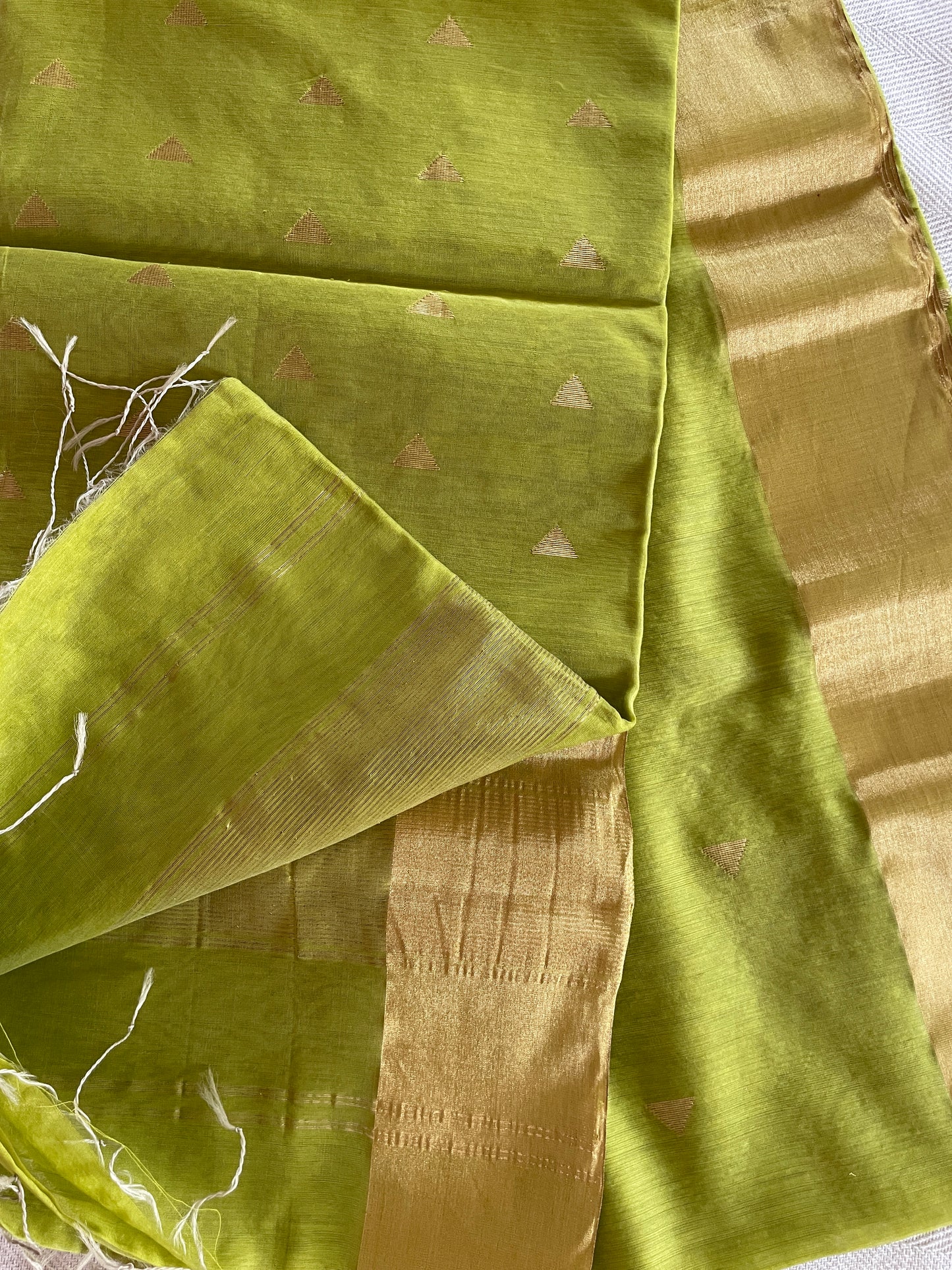 Pure Maheshwari silk cotton saree - pista green