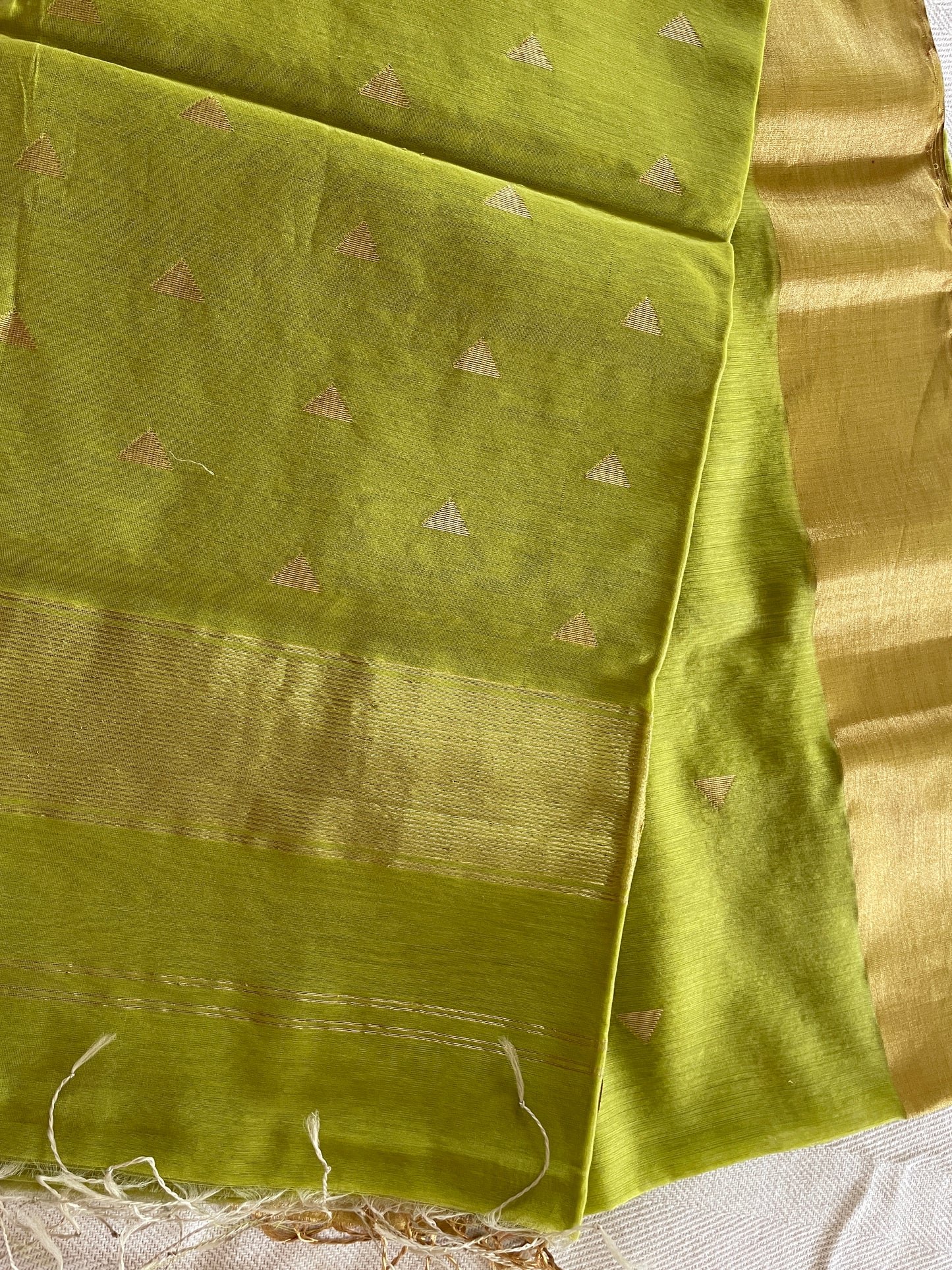 Pure Maheshwari silk cotton saree - pista green