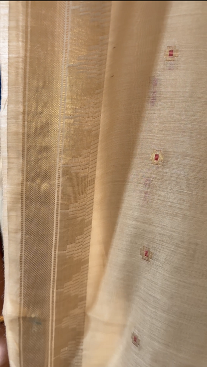 Pure Munga silk saree - Beige