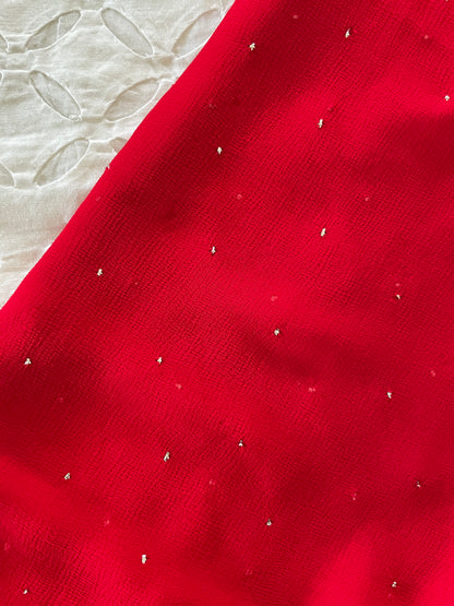 Pure Chiffon saree with hand mukaish work - Red
